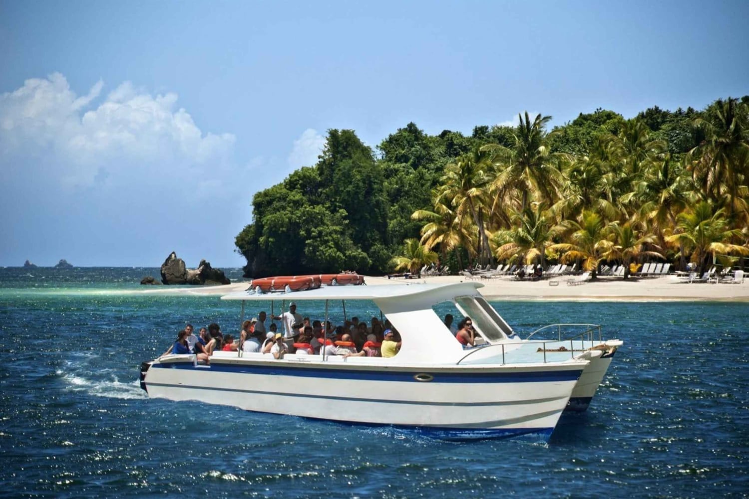 サマナ：貸切カタマランで楽しむホエールウォッチングツアー（ドリンク付き）