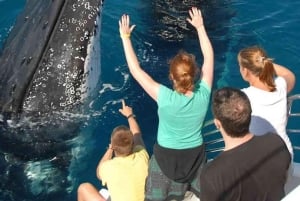 サマナ：貸切カタマランで楽しむホエールウォッチングツアー（ドリンク付き）