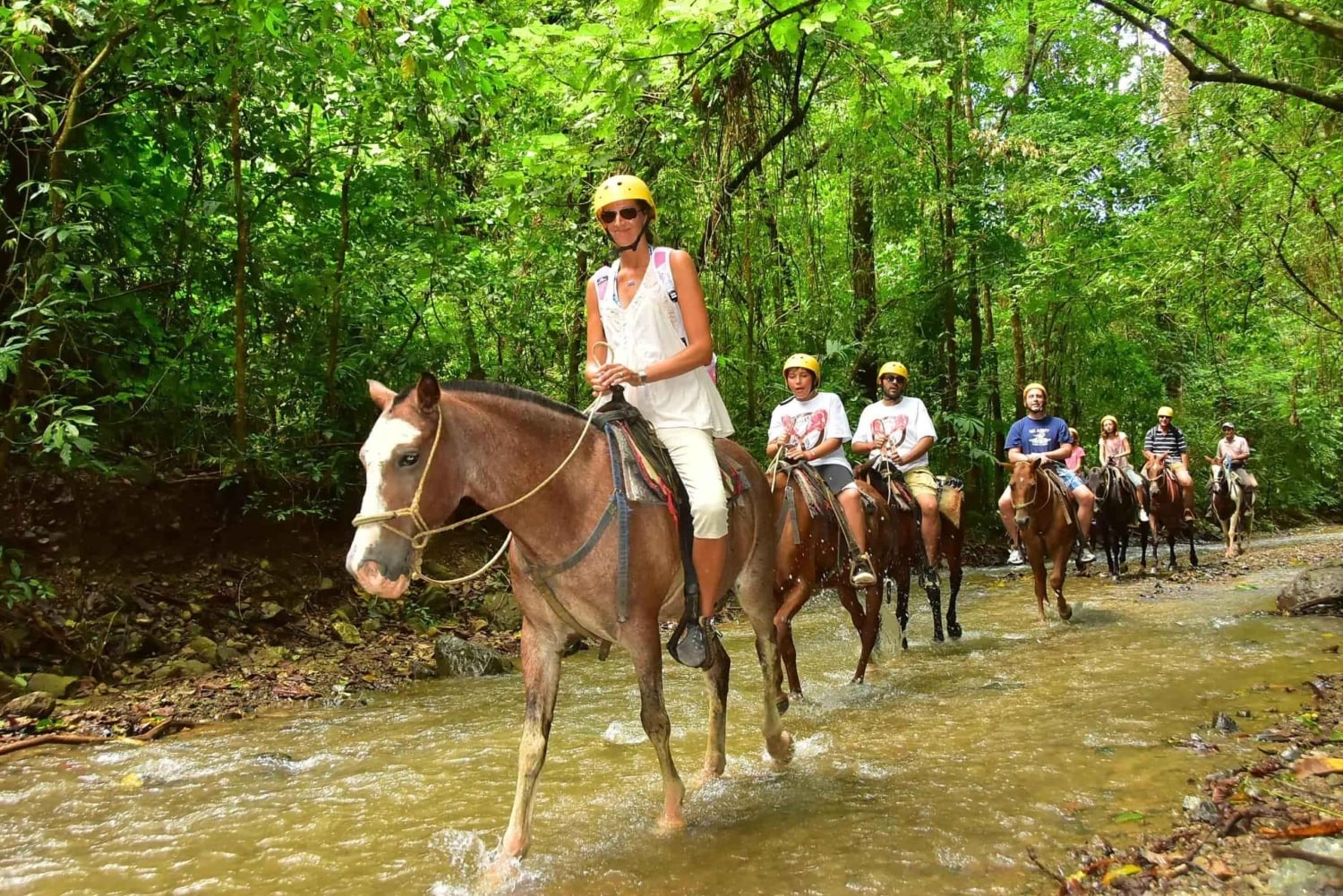 Samaná: Private Horseback Riding to El Limón Waterfall