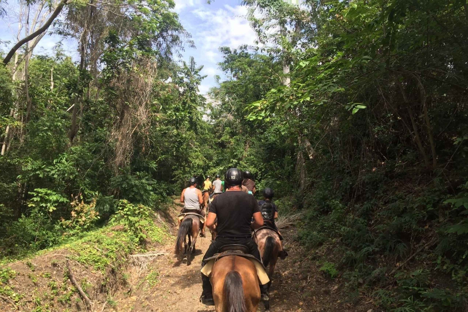 Samaná: Private Horseback Riding to El Limón Waterfall