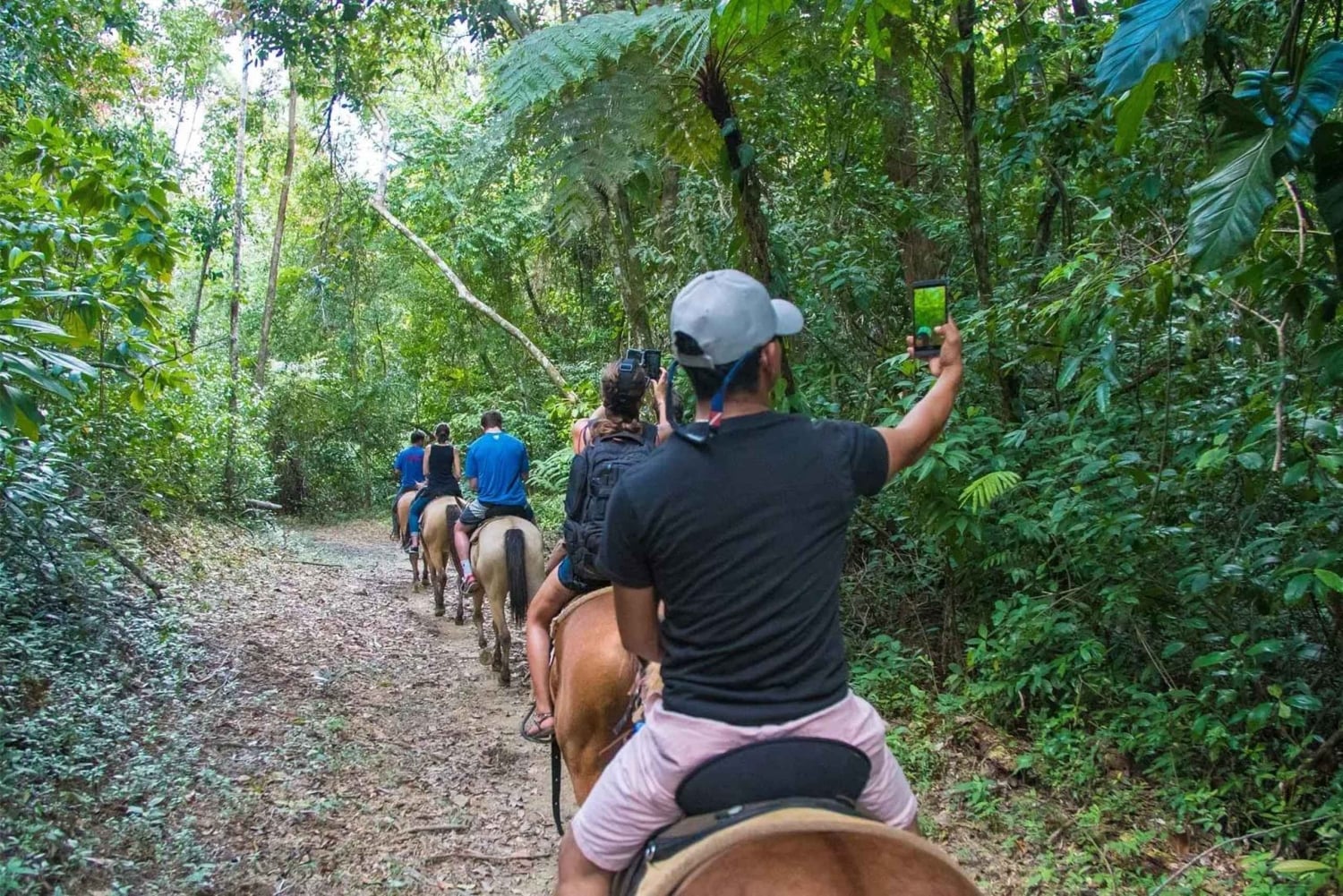 Samaná: Private Horseback Riding to El Limón Waterfall