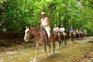 Samaná: Private Horseback Riding to El Limón Waterfall