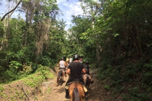 Samaná: Private Horseback Riding to El Limón Waterfall