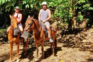 Samaná: Private Horseback Riding to El Limón Waterfall