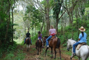 Samaná: Private Horseback Riding to El Limón Waterfall
