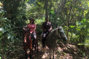 Samaná: Private Horseback Riding to El Limón Waterfall