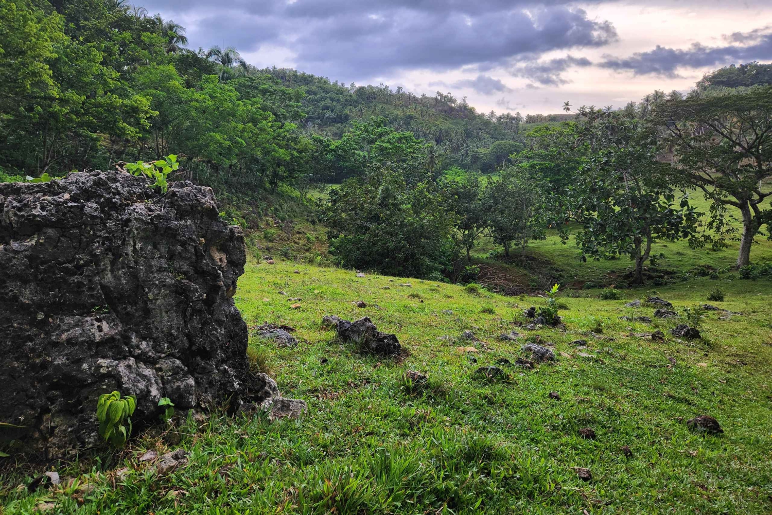 Samana: Private Los Haitises Expedition Caves & Mangroves