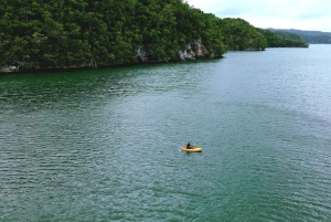 Samana: Private Los Haitises Expedition Caves & Mangroves