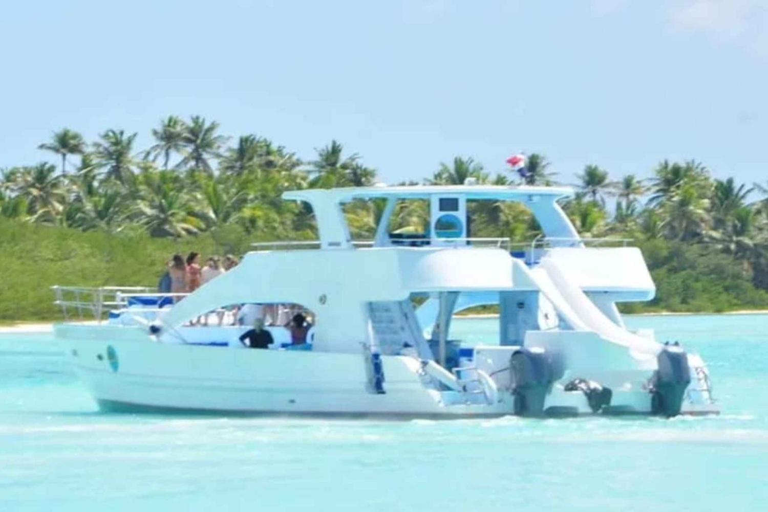 Samaná: Samaná Bay Whale Watching Tour with Drinks