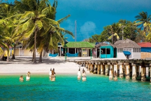 Samana: Saona Island Full-Day Tour with Catamaran Ride