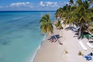 Samana: Saona Island Full-Day Tour with Catamaran Ride