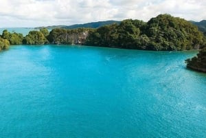 Samana, vierailu Los Haitisesin kansallispuistossa ja Cayo Levantado -saarella