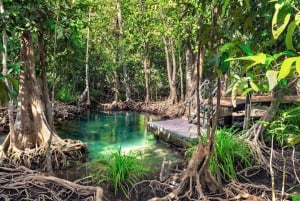 Samana, vierailu Los Haitisesin kansallispuistossa ja Cayo Levantado -saarella
