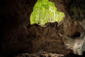 Samana, vierailu Los Haitisesin kansallispuistossa ja Cayo Levantado -saarella
