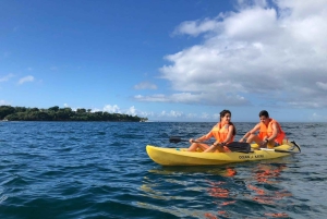 Samaná: Whale, Cayo Levantado, & Kayak in Samaná Bay Tour