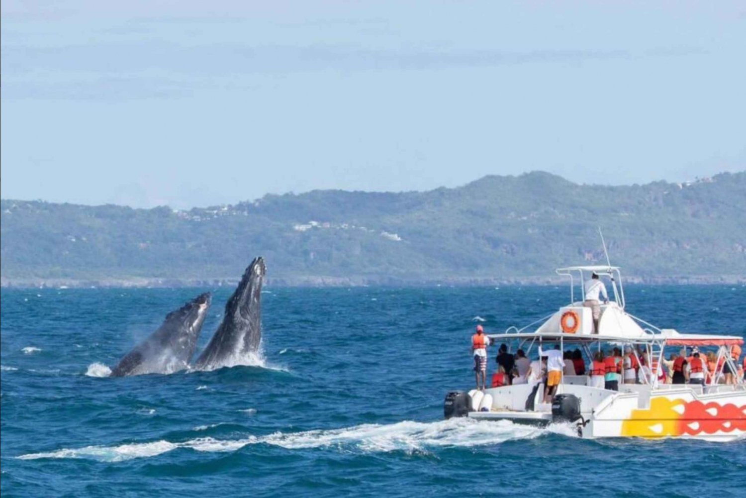 Samana: tour di osservazione delle balene e tour di un'intera giornata a Cayo Levantado