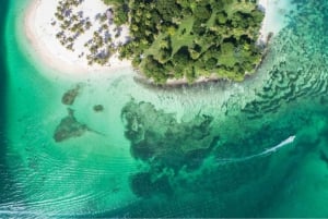 Samanà: tour di un giorno con avvistamento delle balene e Cayo Levantado