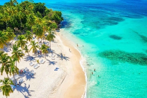 Samaná: Whale Watching and Cayo Levantado Island Tour