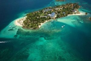 Samaná: Valskådning och rundtur på ön Cayo Levantado