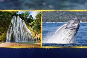 Punta Cana: Avistamiento de Ballenas, Cayo Levantado y Cascada del Limón