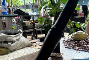 Samaná: Tagestour zu den Yanigua-Wasserfällen mit der Fähre und Mittagessen