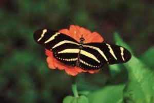 Santo Domingo: 3 Eyes Park & Botanical Garden Tour