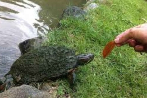 Santo Domingo: 3 Eyes Park & Botanical Garden Tour