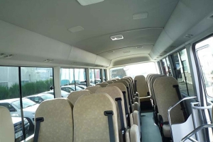 Santo Domingo Luchthaven: Enkele reis of retourtransfers