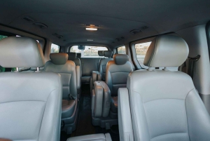 Transfert de l'aéroport de Saint-Domingue à Punta Cana de/à l'hôtel