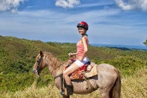 Santo Domingo: Isola di Barcadi e cascate di El Limon Samana