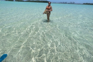 Santo Domingo: Praia de Boca Chica + Los Tres Ojos + Almoço