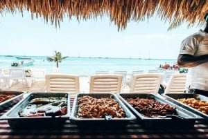 'Santo Domingo: Catamarã para Saona Uma Viagem Inesquecível'