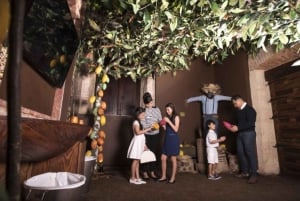 Santo Domingo: Tour del Chocolate + Talleres Opcionales
