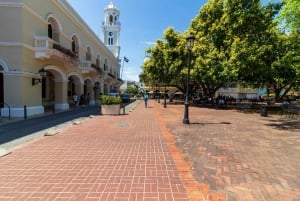 Santo Domingo City Tour: Colonial City, Los Tres Ojos, Lunch