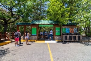 Santo Domingo byrundtur: Den koloniale by, Los Tres Ojos, frokost