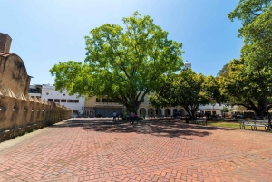 Santo Domingo byrundtur: Den koloniale by, Los Tres Ojos, frokost