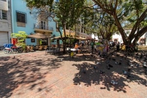 Santo Domingo byrundtur: Den koloniale by, Los Tres Ojos, frokost