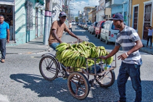Santo Domingon kaupunkikierros Punta Canasta lounaalla