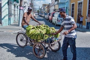 Santo Domingon kaupunkikierros Punta Canasta lounaalla