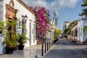 Santo Domingo Colonial City Tour Dagsutflykt med lunch