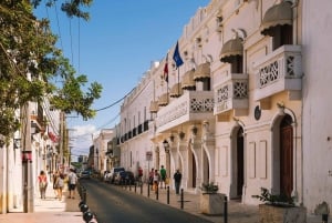 Santo Domingo Colonial City Tour Dagsutflykt med lunch