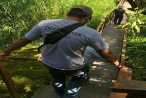 Santo Domingo: Dagsudflugt til Constanza med vandfaldsvandring