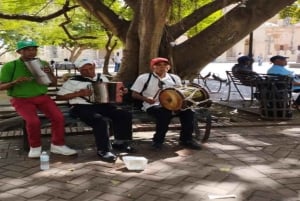 Dagsudflugt fra Santo Domingo til Punta Cana med frokost