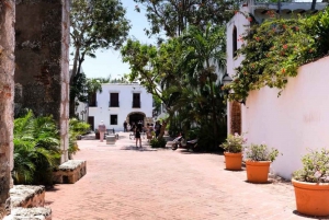 Santo Domingo Day Trip with Tickets and Lunch Tour