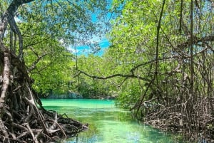Santo Domingo: Disfruta de los lugares mágicos de Río San Juan