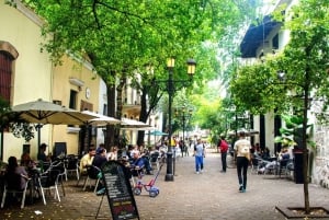 Santo Domingo: City Highlights Guided Tour with Lunch