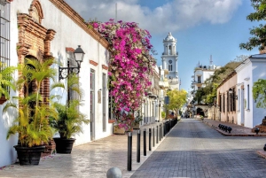 Santo Domingo: City Highlights Guided Tour with Lunch