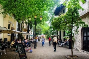 Historyczna wycieczka po mieście Santo Domingo: Poznaj dziedzictwo