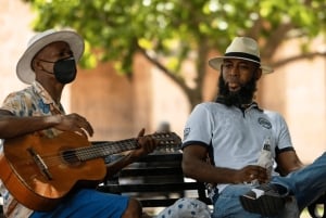 Santo Domingo: historiaa ja kulttuuria – yksityinen kiertoajelu