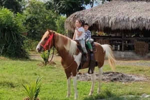 Santo Domingo: Horseback Riding - Round Trip Transportation